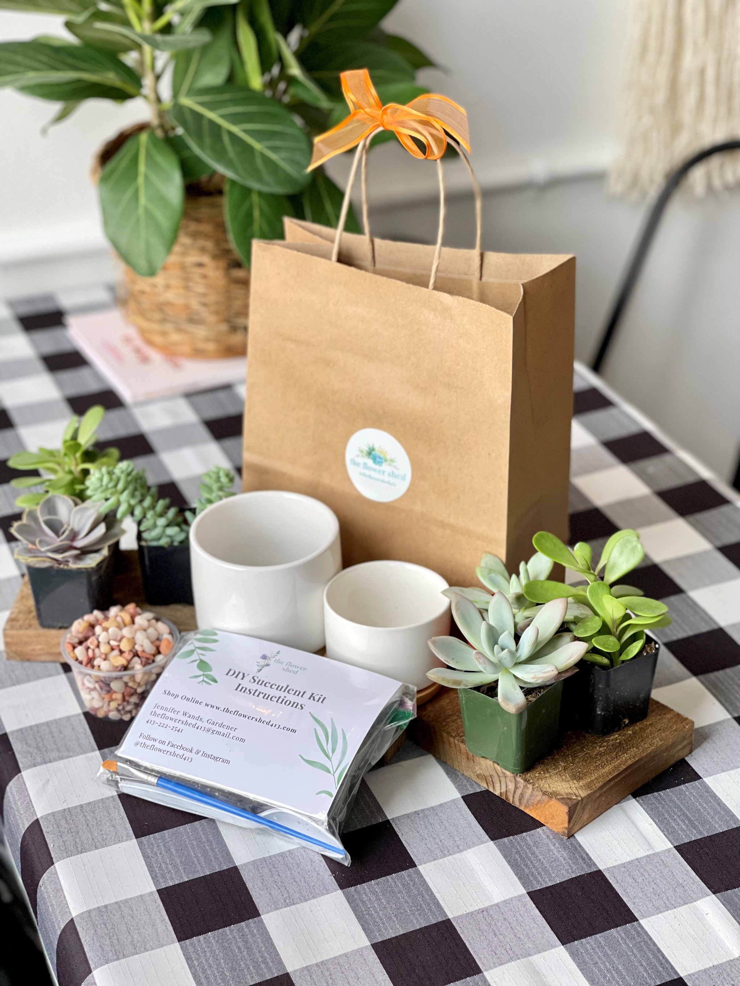 DIY Succulent Kit | the flower shed