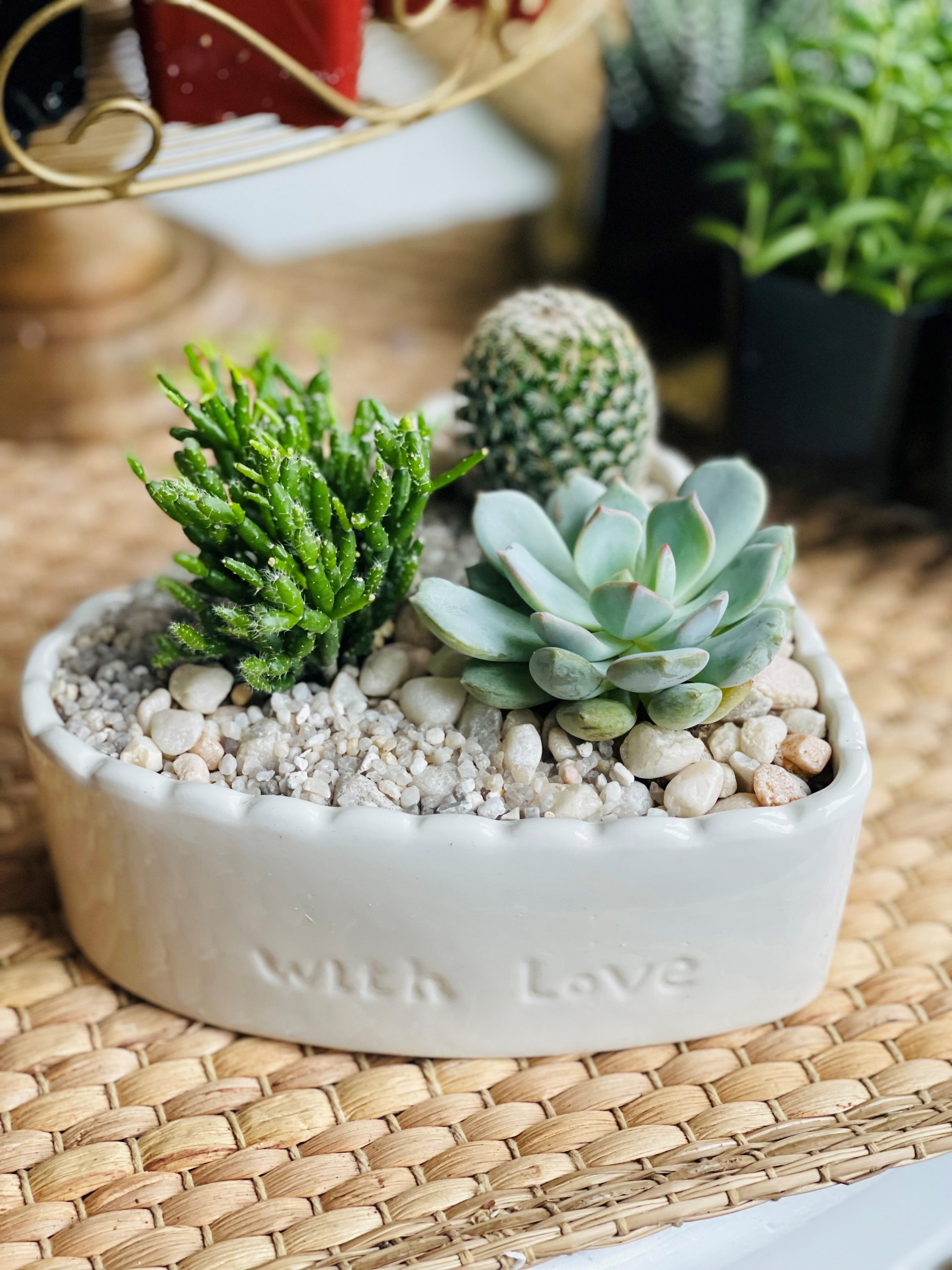 Succulent Heart Dish Garden